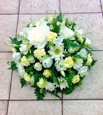 Pastel Yellow Posy