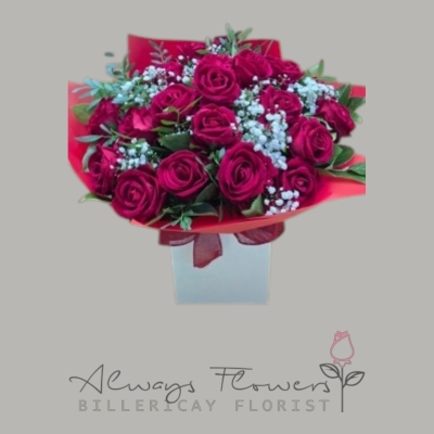 24 Red Luxury Roses