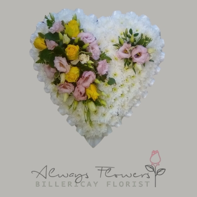 Heart Based with Ribbon Edge