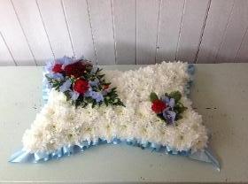 Red & Blue Pillow