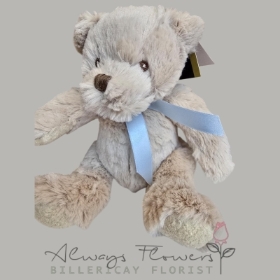 Bobby Bear