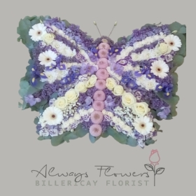 Pastel Butterfly